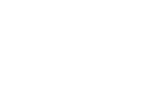 Panter MIS logo: a white silhouette of a leaping panther.