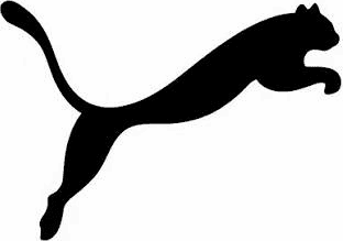 Panter MIS logo: a black silhouette of a leaping panther.